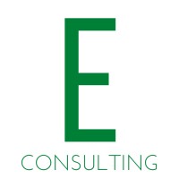 Elverfeldt Consulting logo - Similar company to Kairos Insights