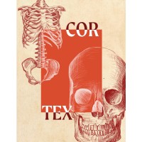 CORTEX Collective logo - Similar company to The Cortex Collective