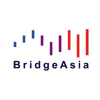 BridgeAsia logo - Similar company to Adoc Software Development
