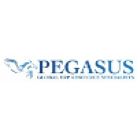 Pegasus ERP Solutions 