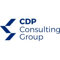 CDP Consulting Group logo - Similar company to Cdp Consulting