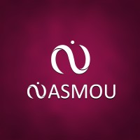 Nasmou logo - Similar company to Nasmoltd