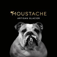 Glaces Moustache - Artisan glacier logo - Similar company to Montecarlofruit