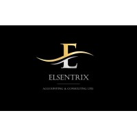 Elsentrix Accounting & Consulting logo - Similar company to M. Target Group
