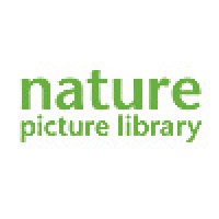 Nature Picture Library logo - Similar company to Six Degrees Research, Rights And Clearances