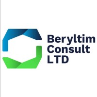 Beryltim Consult Ltd. logo - Similar company to Soni Analytics