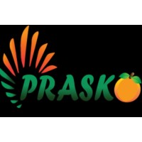 PRASKO logo - Similar company to Nextgen Coders
