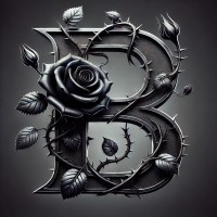 BlackRose Advisory LLC logo - Similar company to High Peaks Solutions