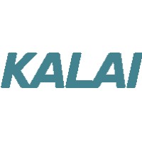 Kalai Technologies logo - Similar company to Digialtyic Technologies