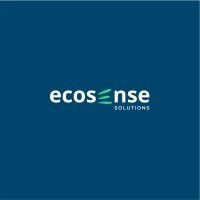 Ecosense Solutions logo - Similar company to Afridigicom