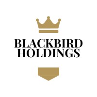 Blackbird Holdings, LLC logo - Similar company to Blackbird Digital Holdings, Llc