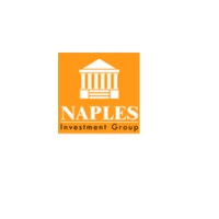 Naples Investment Group Inc. logo - Similar company to Naples Technology Inc. / Nti
