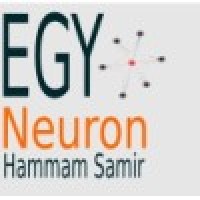 EgyNeuron Marketing & Information Systems logo - Similar company to Ms