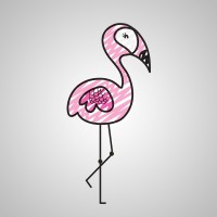 Wild Flamingo Marketing