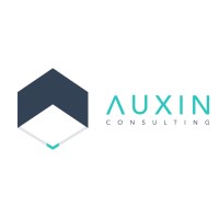 Auxin Consulting Pvt. Ltd. logo - Similar company to Mudrabala Financial Consultancy