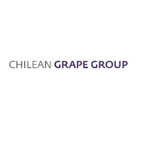 Chilean Grape Group logo - Similar company to Corvismart