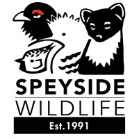 Speyside Wildlife