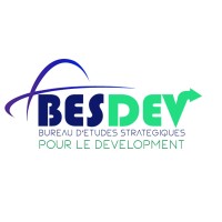 Bureau d'Etudes Stratégiques pour le Developpement logo - Similar company to Leiff