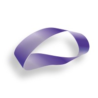 Frisch Solutions GmbH logo - Similar company to High5Manufaktur Gmbh