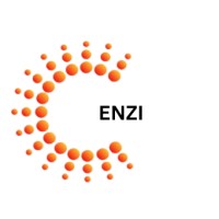 ENZI ELECTRONICS Pvt Ltd logo - Similar company to Enzi