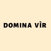 Domina Vir logo - Similar company to Rotson Studios