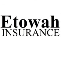 Etowah Insurance Group, Inc. logo - Similar company to Select Focus