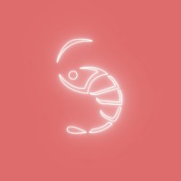 The Shrimp Society