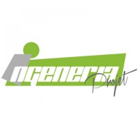Ingeneria Projet logo - Similar company to Generation 5.0
