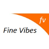 Fine Vibes Services Pvt Ltd logo - Similar company to Byte Digital Solutions