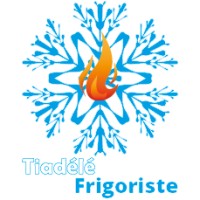 Tiadélé Frigoriste logo - Similar company to Reconcile Business Solutions
