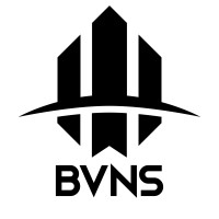 Braven Solutions logo - Similar company to Leap Fund