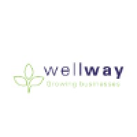 Wellway Accountants Limited logo - Similar company to Xeinadin O'Brien & Partners