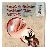 Escuela de Medicina Tradicional China Ling Dao logo - Similar company to Institut Artemisa: Máster Acupuntura