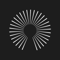 Digital Smart Marketing logo - Similar company to Summer Pratt Co.