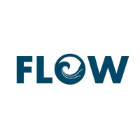 Team Flow logo - Similar company to Team Void