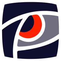 RavenEye logo - Similar company to Kirkpatrickprice