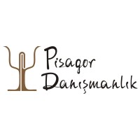 Pisagor Danışmanlık logo - Similar company to Zdc Bilişim Yazılım Danışmanlık Ve Otomasyon Teknolojileri San. Ltd. Şti.