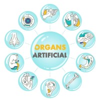 Aruna Biomedical Trainer ATHEENAPANDIAN PRIVATE LIMITED logo - Similar company to Kora Therapy