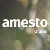 Amesto Global logo - Similar company to Connectaverse