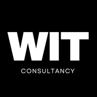 WIT consultancy logo - Similar company to Wit Consultancy