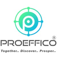 Proeffico Solutions Private Ltd. logo - Similar company to Infograin Serv De Inf E Telec Com E Representacao