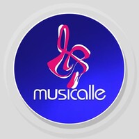 Musicalle Instrumentos Musicais