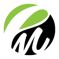 Paragon Marketing Inc.