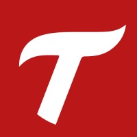 Teknes logo - Similar company to Icinet
