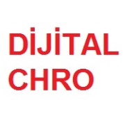 Dijital CHRO logo - Similar company to 100 Watts Consulting