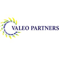 Valeo Partners logo - Similar company to Steel Ridge Partners