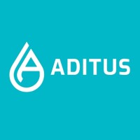 Aditus365 logo - Similar company to Beesure Hr Ltd