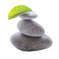 Green Habitat Consultants logo - Similar company to Primitive Design Studio