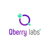 Qberry Labs Inc. logo - Similar company to Qberry Llc