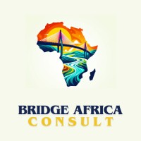BridgeAfrica Consult logo - Similar company to Nath Ingénierie